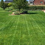 Lawn Care Services Clearfield Utah