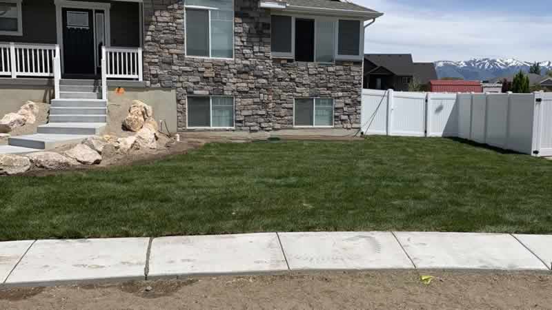 Lawn After Sod Installation