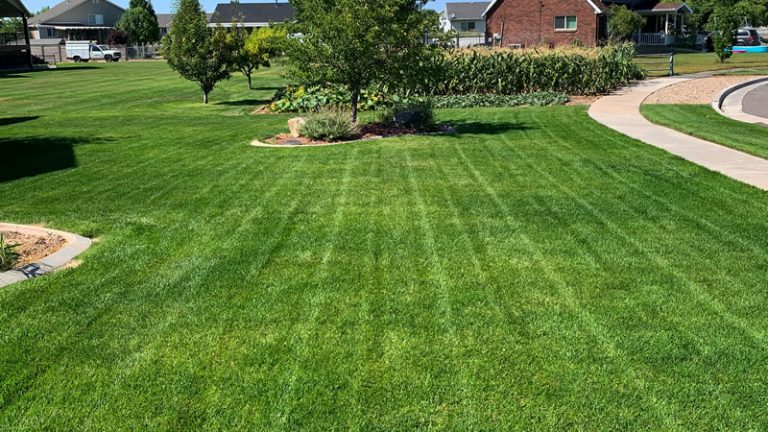 Who’s The Best Lawn Care Company In Clearfield Utah?